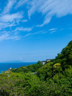 海を見渡せる丘