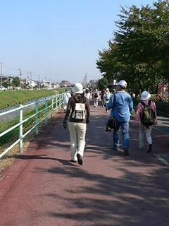 ウォーキング